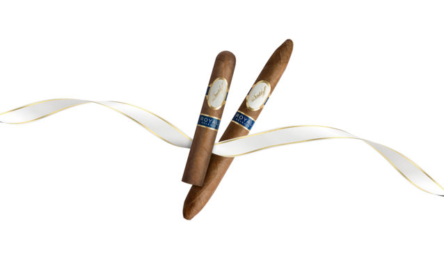 Davidoff Royal Release Robusto and Salomones placed side by side with white/gold ribbon in the background.