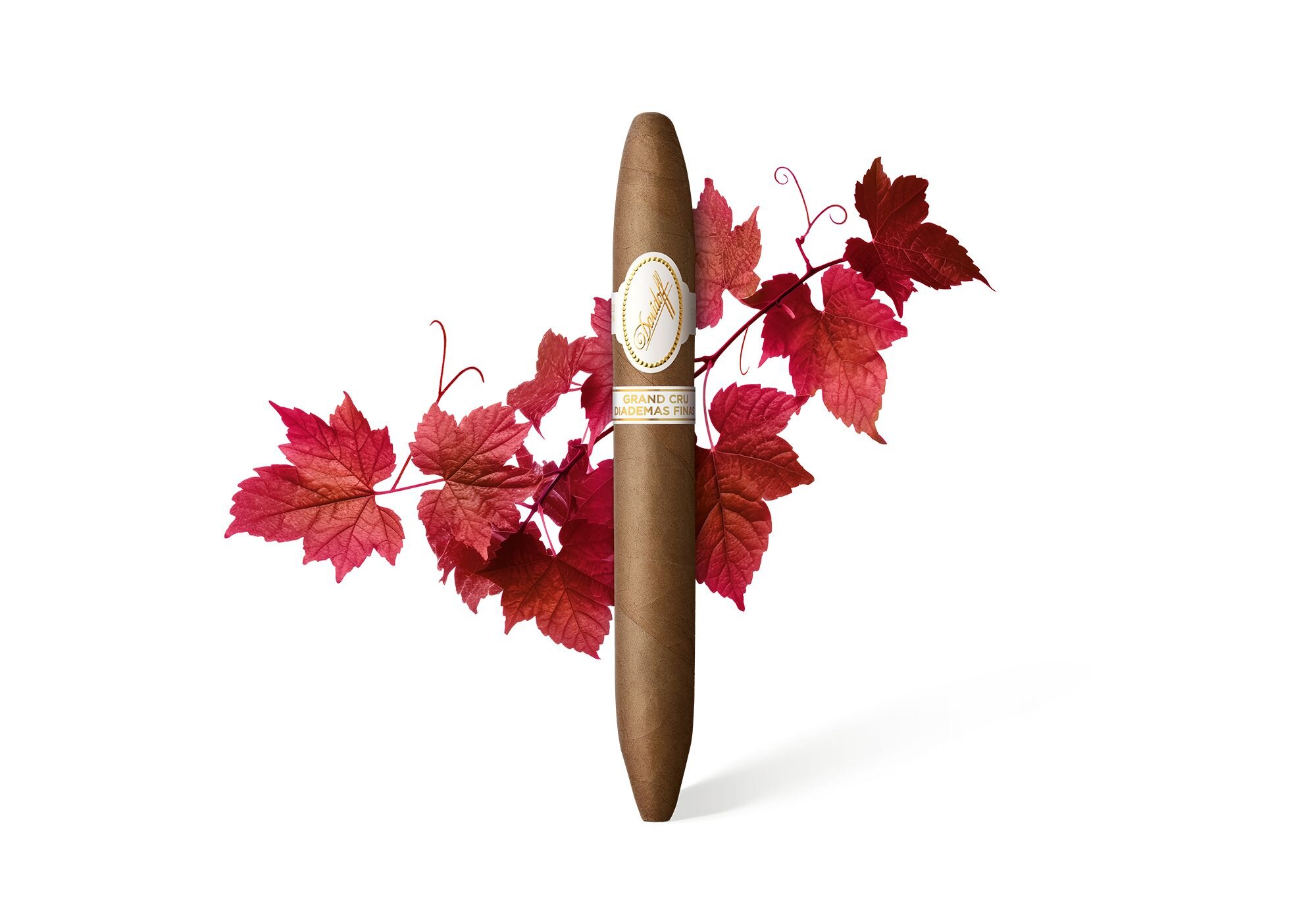 A Davidoff Grand Cru Diademas Finas Limited Edition Collection cigar with grape leaves behind it. 