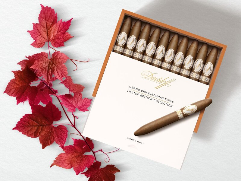 One Davidoff Grand Cru Diademas Finas Limited Edition Collection lying on top of its opened box of ten cigars.