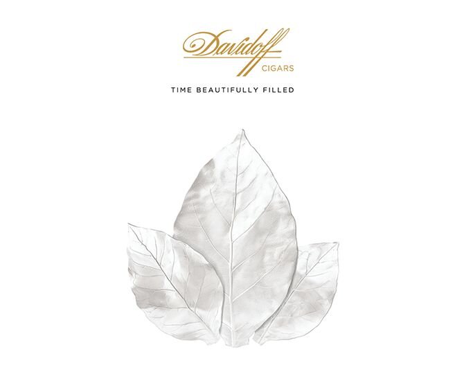 Davidoff Grand Cru Diademas Finas Limited Edition Collection cigar with grape leaves in the background