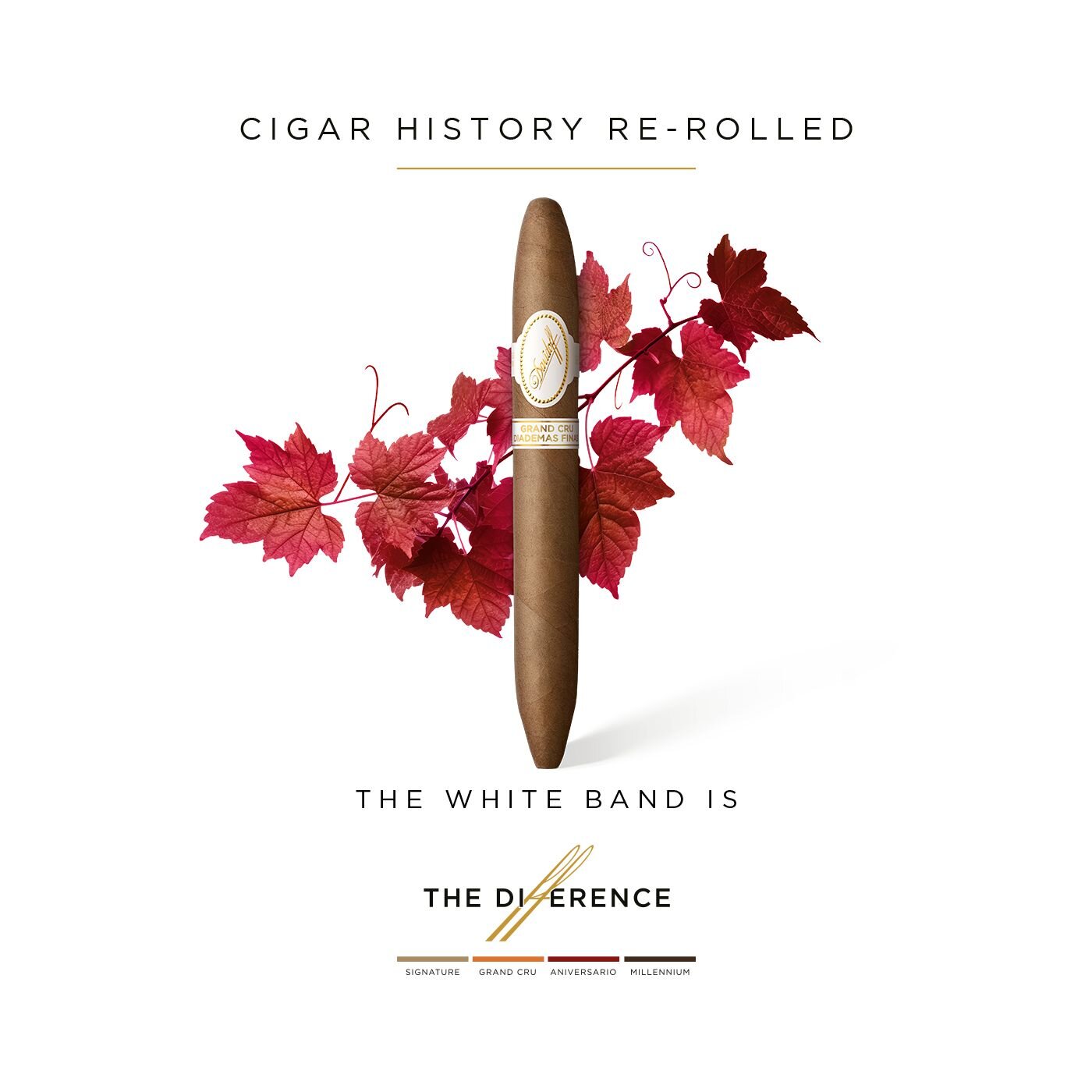 The Davidoff Grand Cru Diademas Finas Limited Edition Collection cigar in front of red vine leaves.