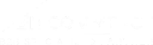 BigCommerce Specialized