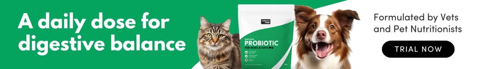 Shop Nature's Paw Probiotic & Prebiotic for Pets