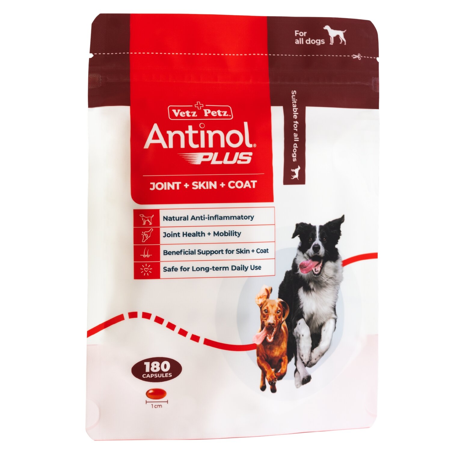 Dog Health