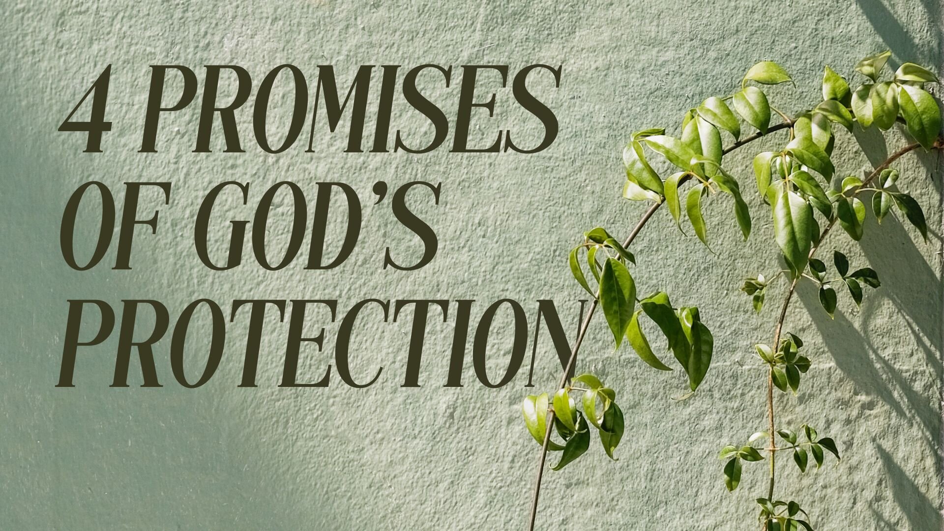 4 Promises of God's Protection