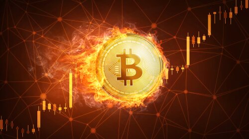 Bitcoin Just Hit a New High—Is the Rally Over or Just Starting?