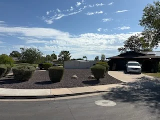 Cleaned residential parking area with shaped shrubs