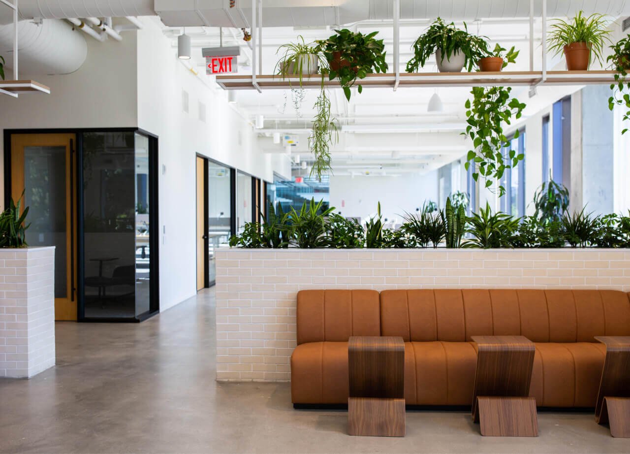 sunny office with plants at simplepractice