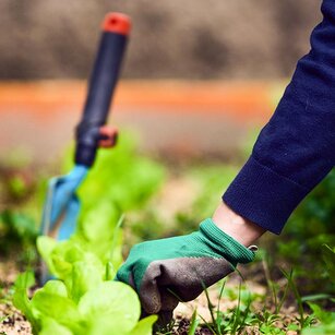 weed killer