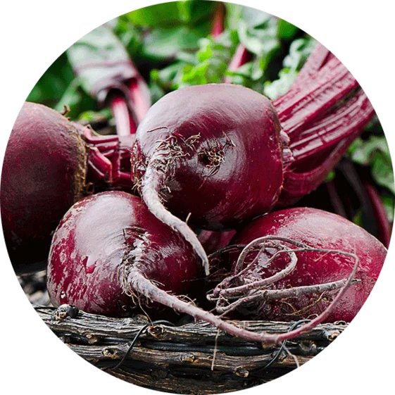 beets