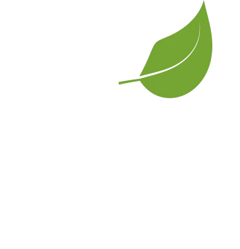 Abes Backyard logo