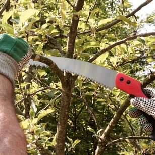 pruning