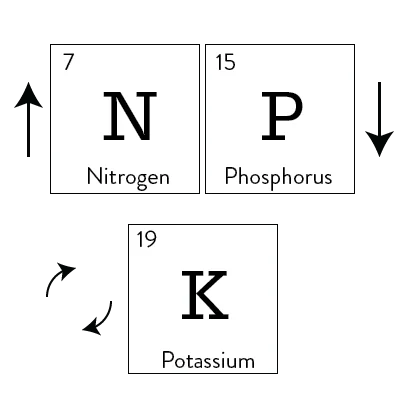 nitrogen phosphorus potassium