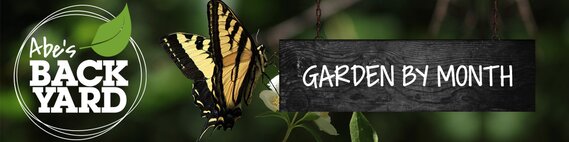 Garden by Month