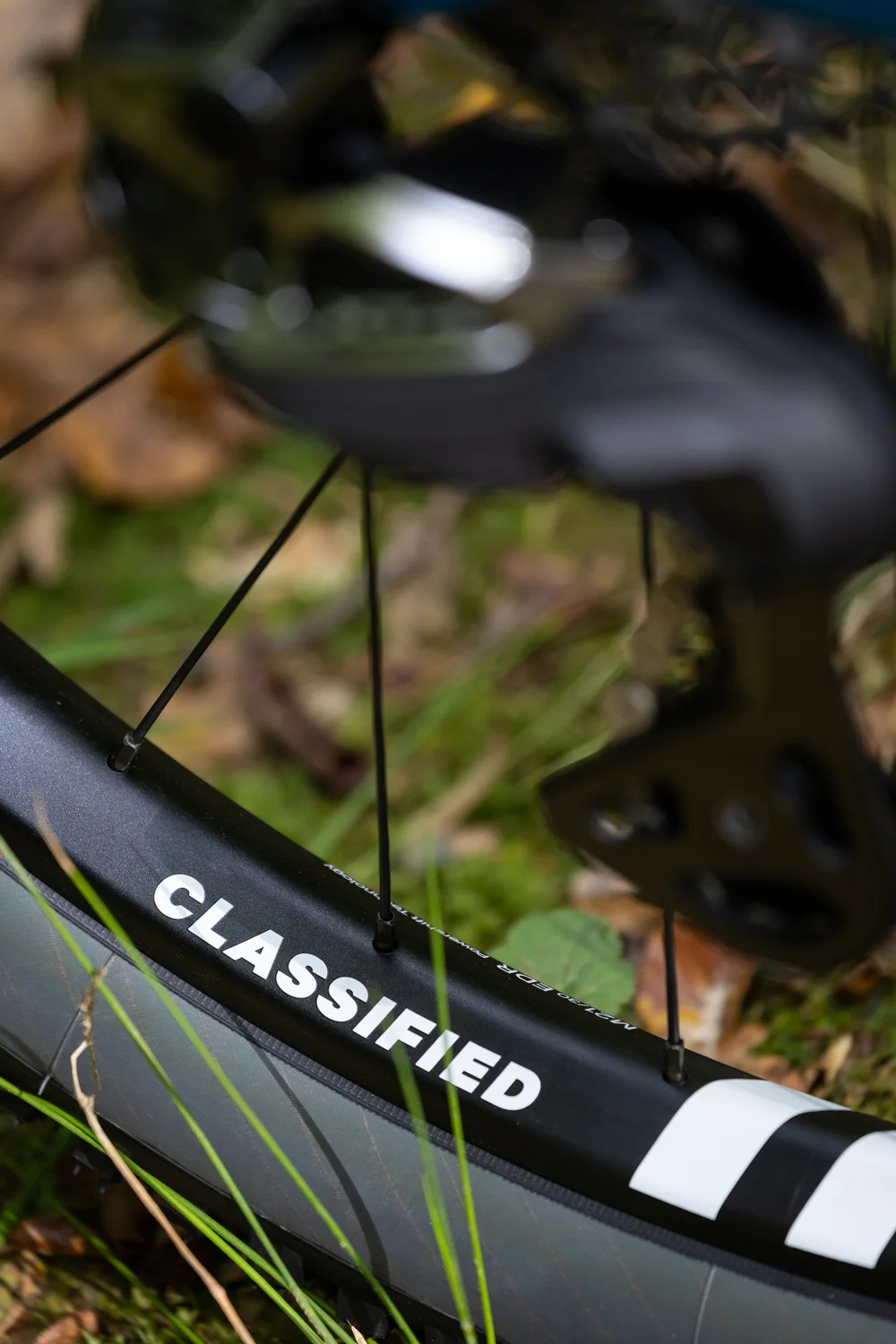 Shimano XTR 12-speed cassette detail