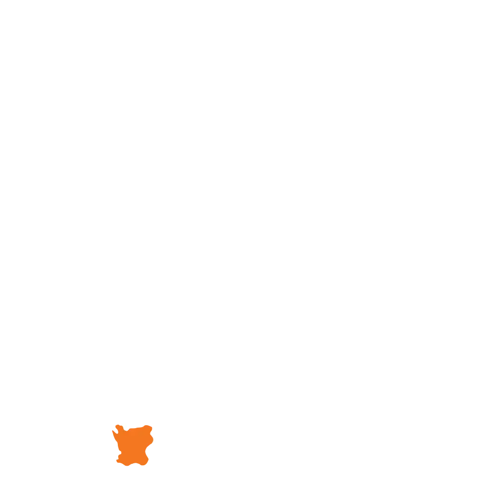 Name origin feature image