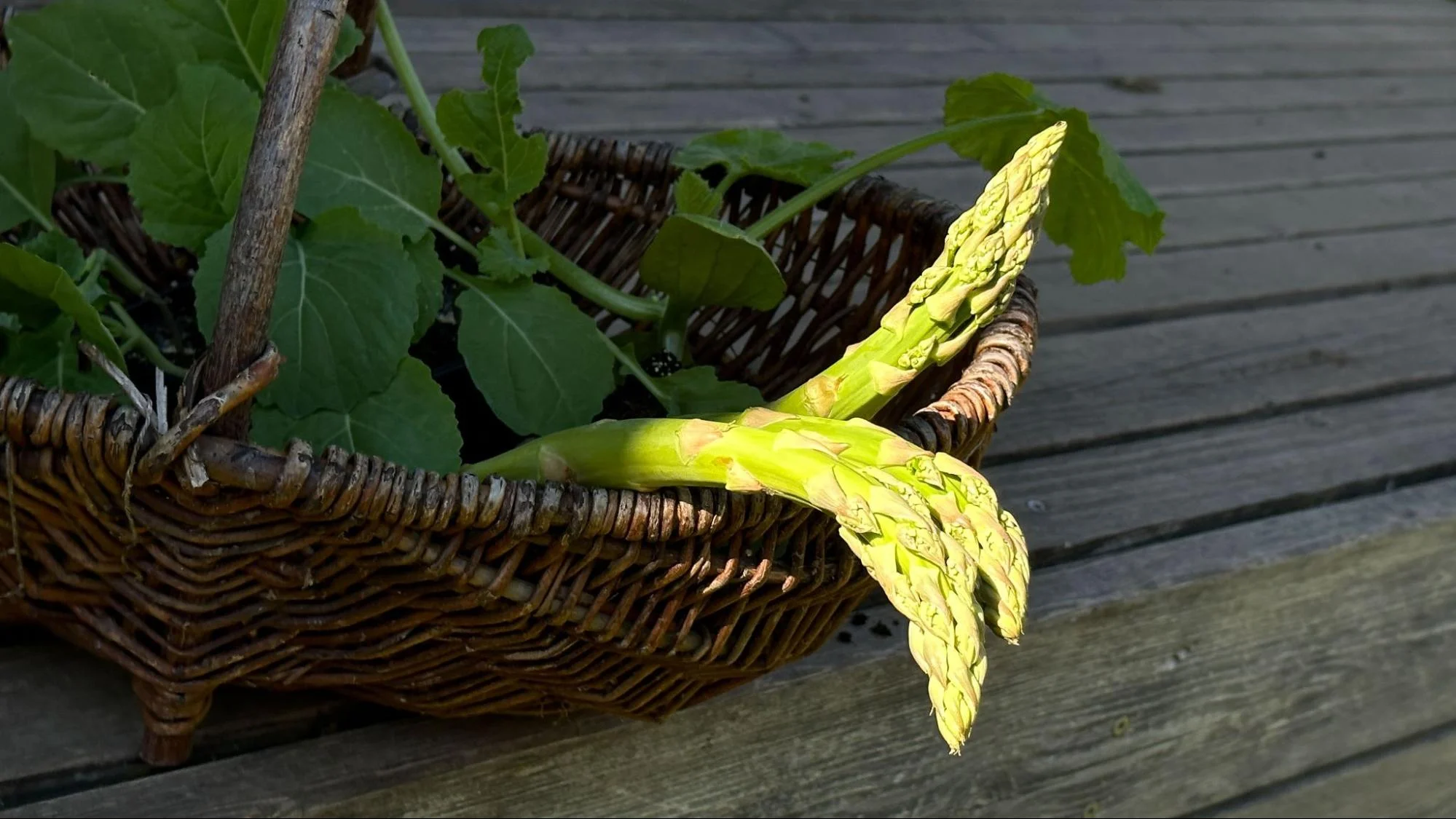 Vorzeitige Erschlaffung des Gliedes - warum steht er nicht mehr? 