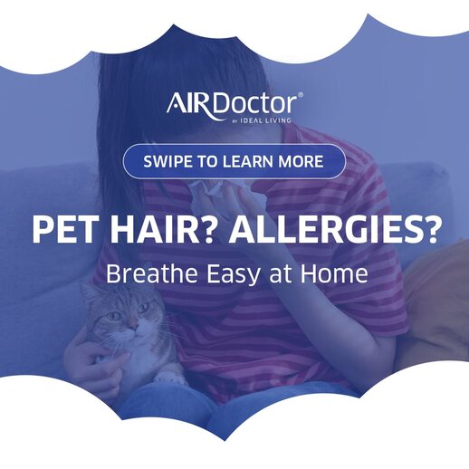 AirDoct: or promotional graphic for reducing pet hair and allergens in the homeAir Purifier Allergies | AirDoctor 