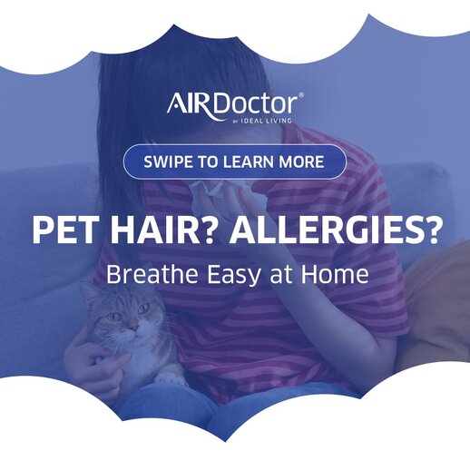 Air Purifier Allergies | AirDoctor 