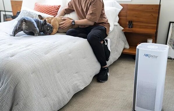 A person sitting on a bed petting two French bulldogs while an AirDoctor air purifier stands on the carpeted floor nearby in a cozy bedroom. | AirDoctor