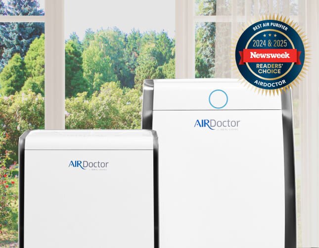 Daylight Savings Sale 2026