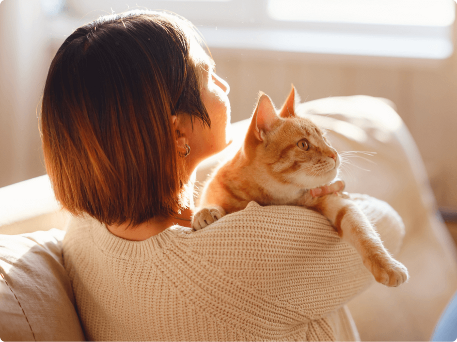 Air Purifiers for Home | AirDoctor