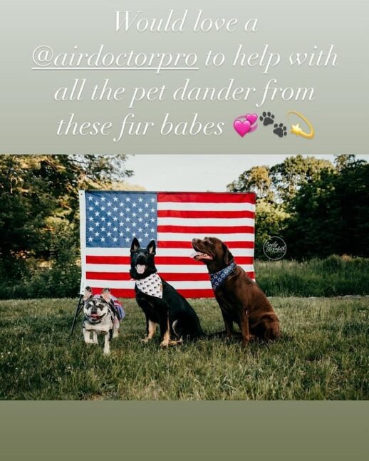 Three dogs standing in front of an American flag on a grassy field: Air Purifier Pet Dander | AirDoctor 