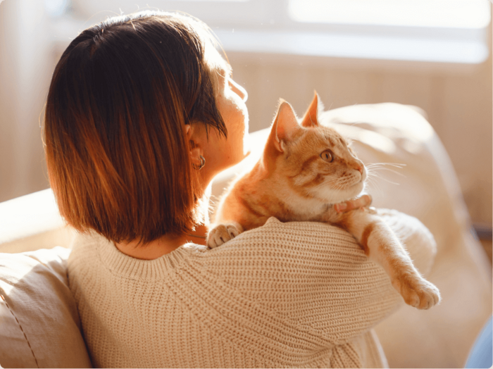 air pollution in the home