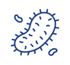 viruses and bacteria