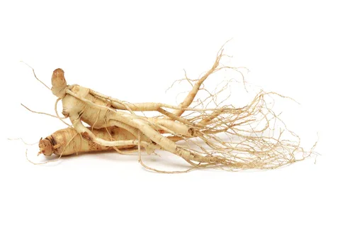 Siberian Ginseng: Ancient Virus-Fighting Remedy and Immune-Boosting Herb