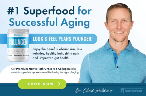Master Your Health #1 Superfood Chad Walding
