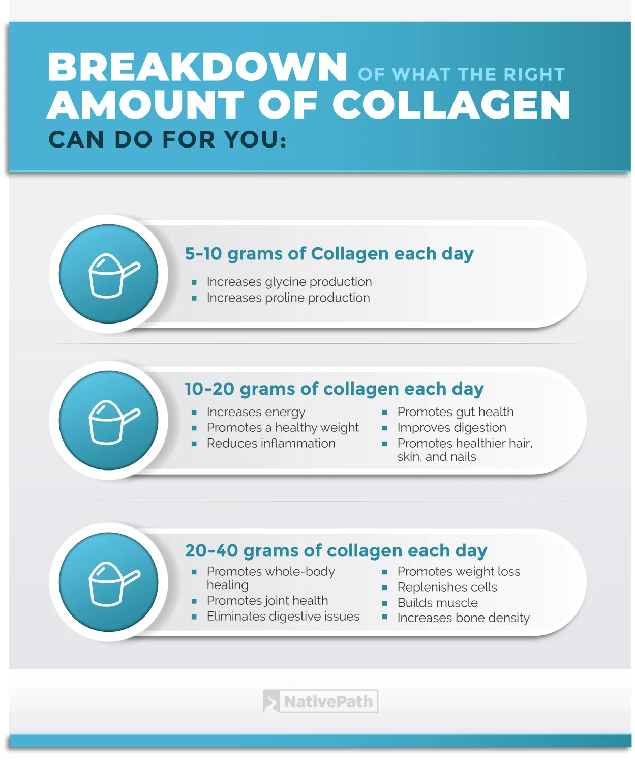 Infographic Showing the Breakdown of What the Right Amount of Collagen Can Do for You