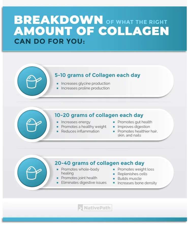 Breakdown of the Right Amount of Collagen