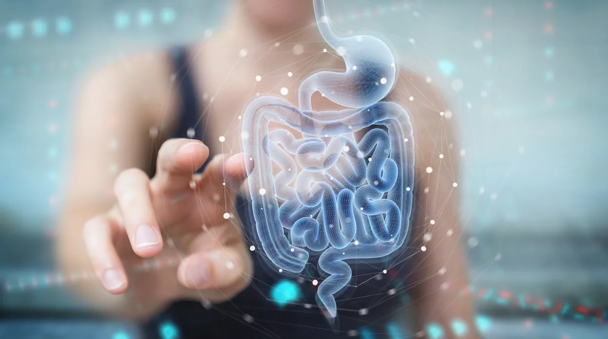 A woman pointing at a digital rendering of the digestive system