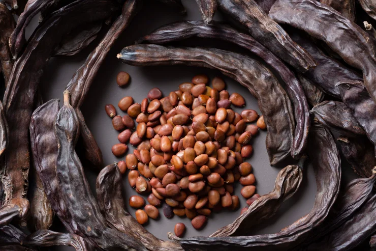 A pile of locust beans surrounded by their pods