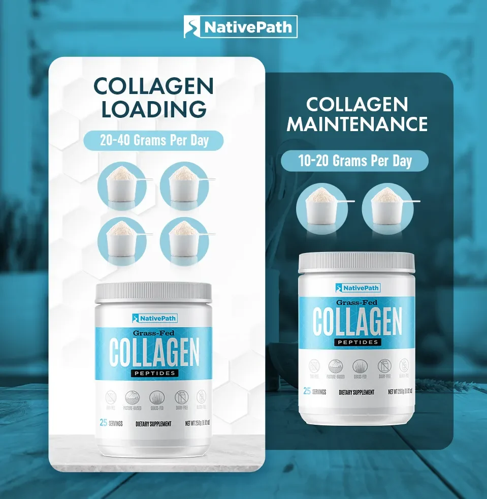 Infographic showing the difference between Collagen Loading and Collagen Maintenance