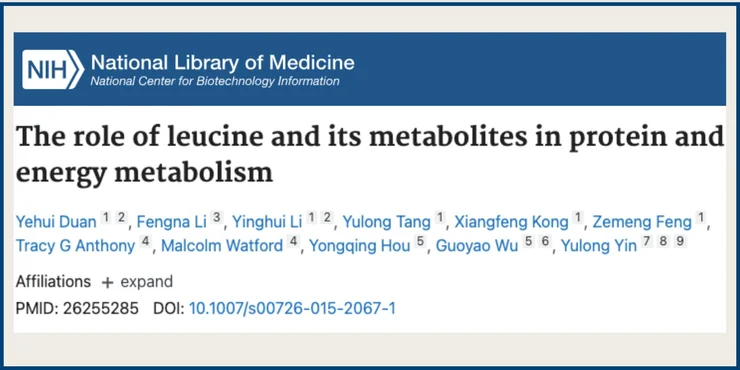 Screenshot of an NCBI study titled "The role of leucine and its metabolites in protein and energy metabolism"