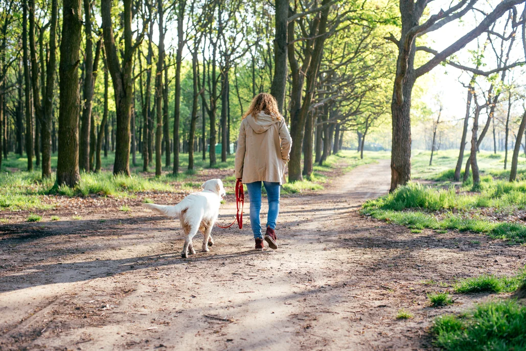 A woman walking her dog in nature