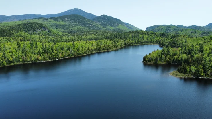 Aerial shot of a lake with trees and mountains in the background