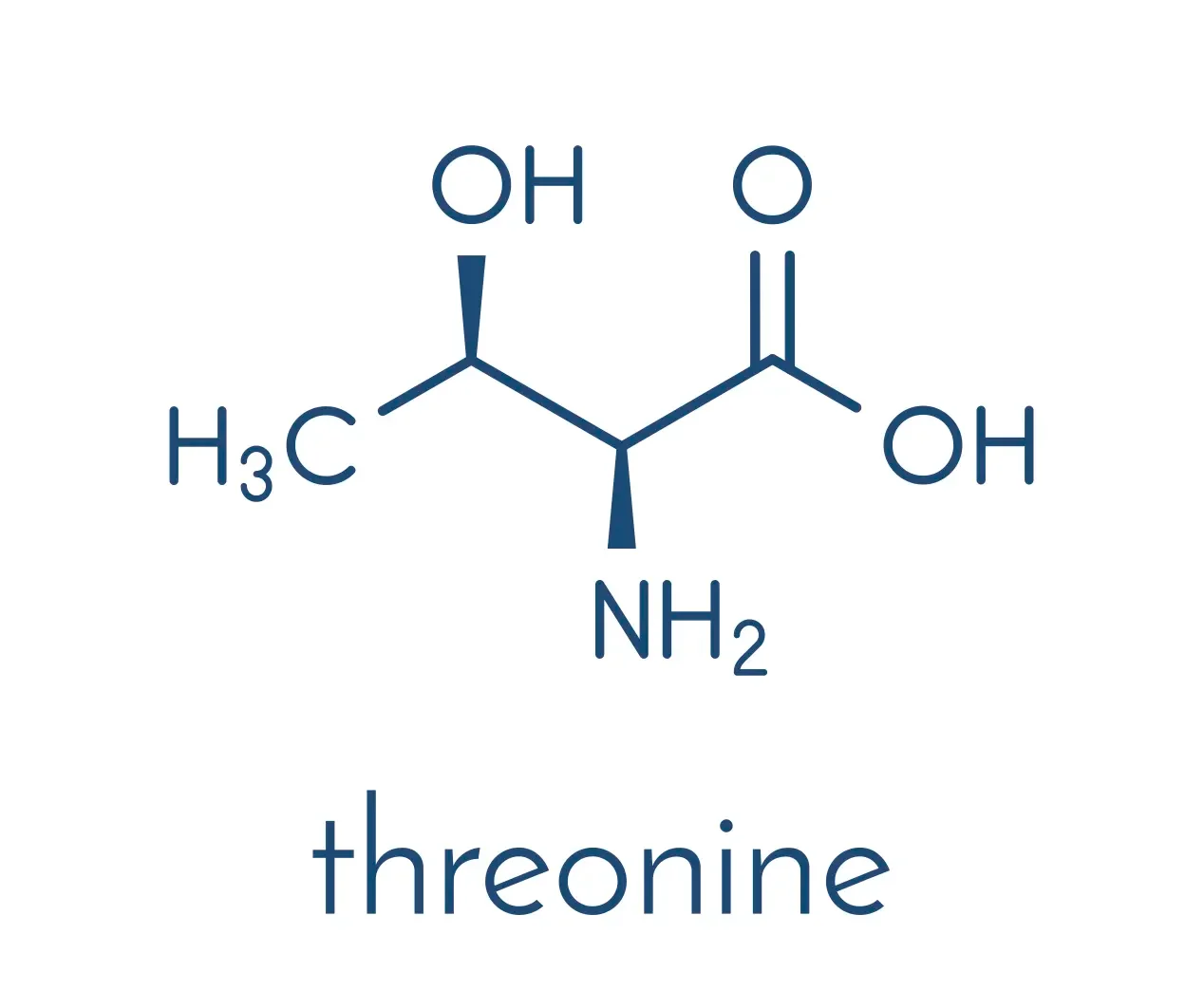 Threonine (l-threonine, Thr, T) amino acid molecule. Skeletal formula.