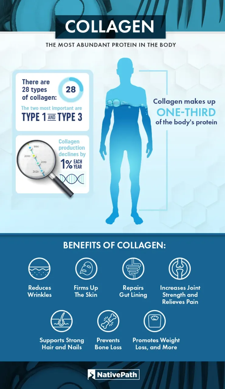 Collagen The Most Abundant Protein In The Body Ultimate Guide Collagen Women Over 50