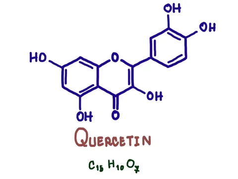 The Immunoprotective Role Of Quercetin