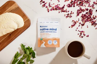 A package of NativePath Native Mind mushroom tea surrounded by rose hips, a lion's mane mushroom, spearmint, and a mug of the brewed tea on a white background