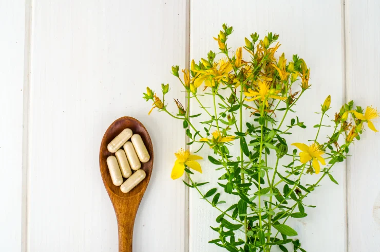 Wooden spoon filled with capsules of St. John's Wort with St. John's Wort flower beside it.