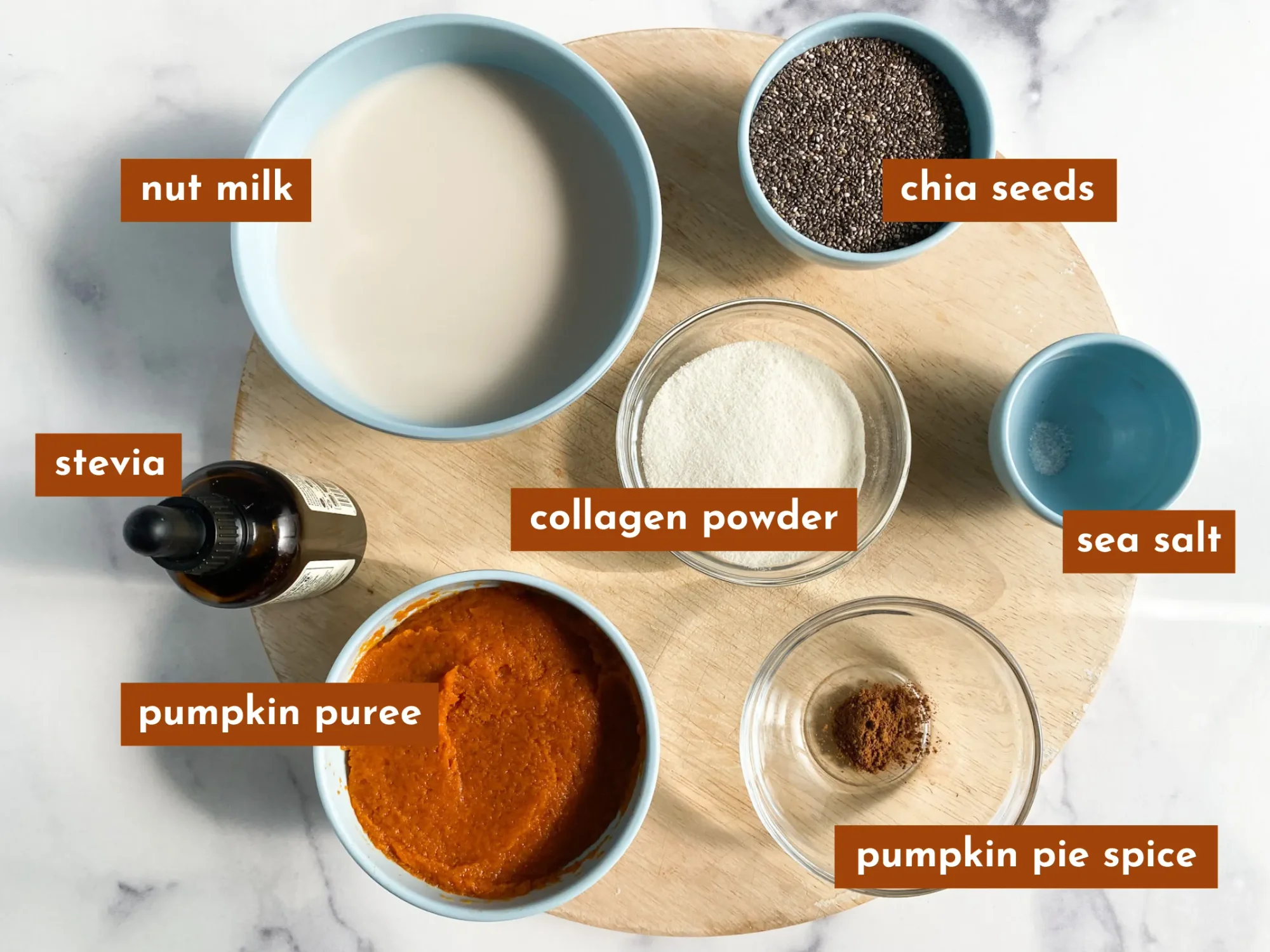 Ingredients for Paleo Pumpkin Chia Seed Pudding: Nut milk, pumpkin puree, liquid stevia, chia seeds, collagen powder, pumpkin pie spice, and sea salt