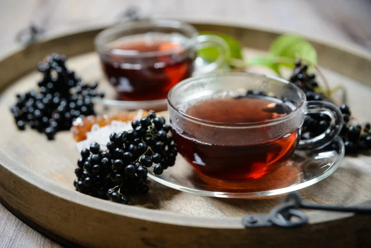 Elderberry Tea Benefits Immunity