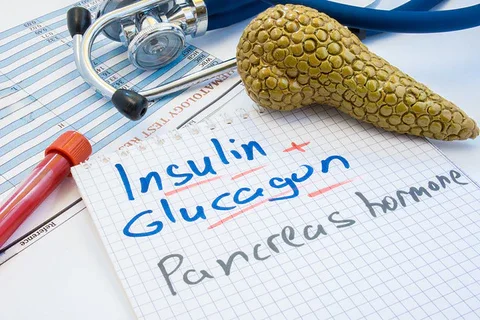 Insulin Sensitivity Pancreas Hormone