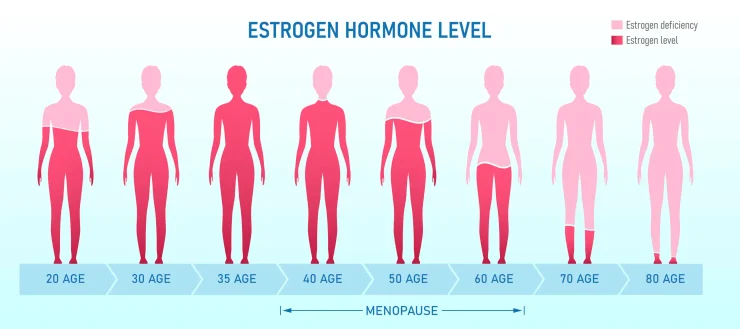 Estrogen Hormone Level Collagen Ease Symptoms