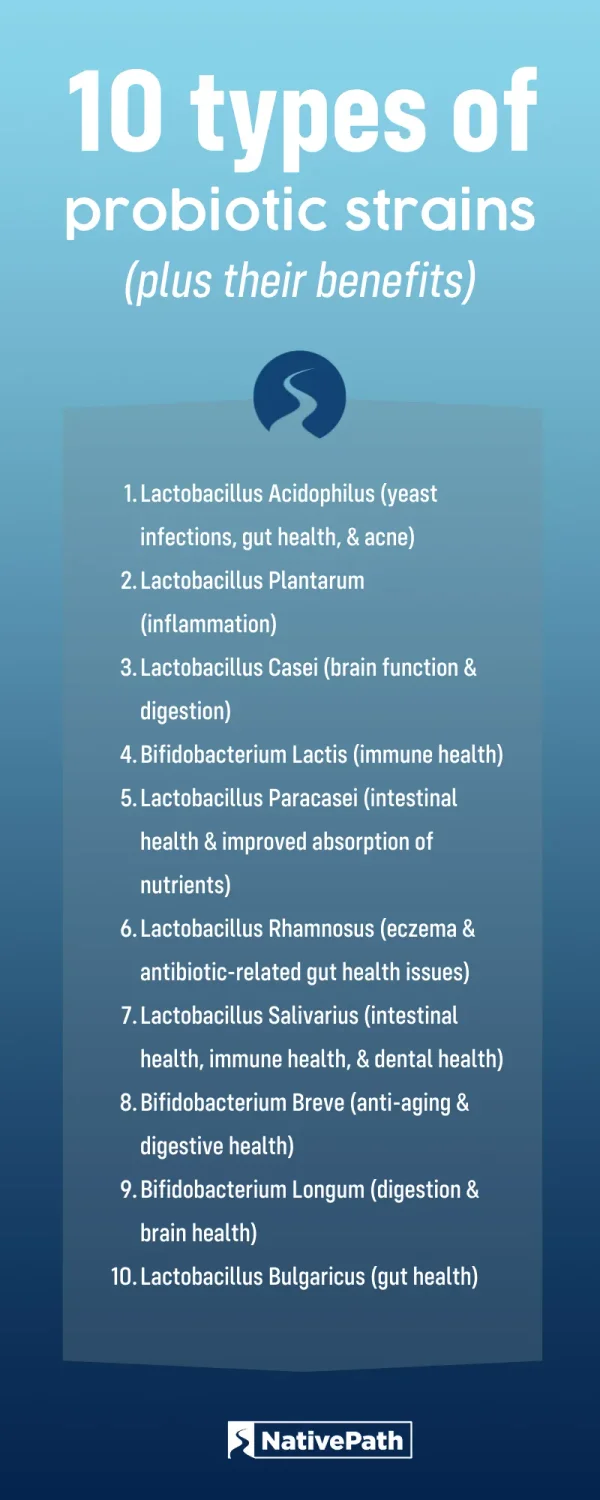 Infographic Showing 10 Types of Probiotic Strains, Plus Their Benefits