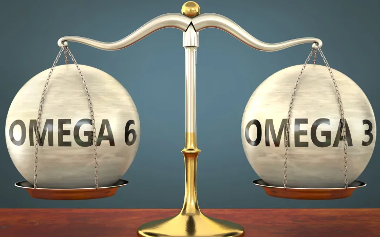 Omega 6 and omega 3 staying in balance, pictured as a metal scale with weights and labels omega 6 and omega 3 to symbolize balance and symmetry of those concepts. 3D illustration.